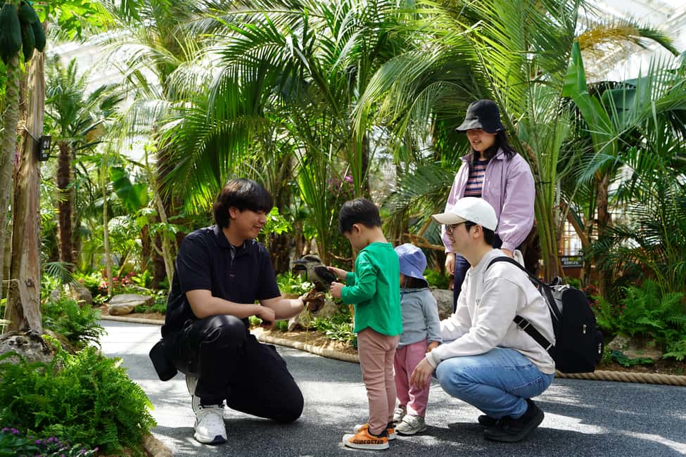 imagen n.º 11 de Seúl: Excursión de un día a la Isla de Nami y al Parque de las Aves de Begonia y Railbike actividad en Provincia de Gyeonggi, subida por el proveedor