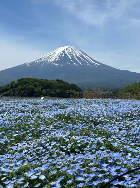 obrázek č.17 aktivity Jednodenní soukromá exkurze na horu Fuji s anglicky mluvícím řidičem v destinaci Hakone, nahraný poskytovatelem aktivity