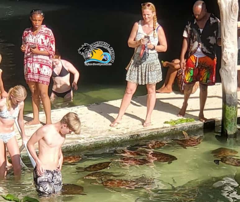 image n.6 of Nungwi: Swimming with Turtles at The Lagoons Zanzibar activity in Zanzibar City, uploaded by supplier