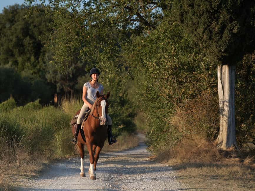 imagen n.º 12 de Siena: Aventura a caballo por la campiña toscana actividad en Siena, subida por el proveedor