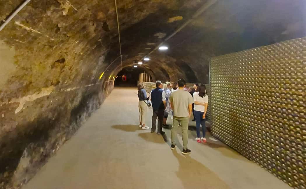 image n.6 of Lake Iseo & Franciacorta Winery. Scenic & Wine Tasting tour activity in Brescia, uploaded by supplier
