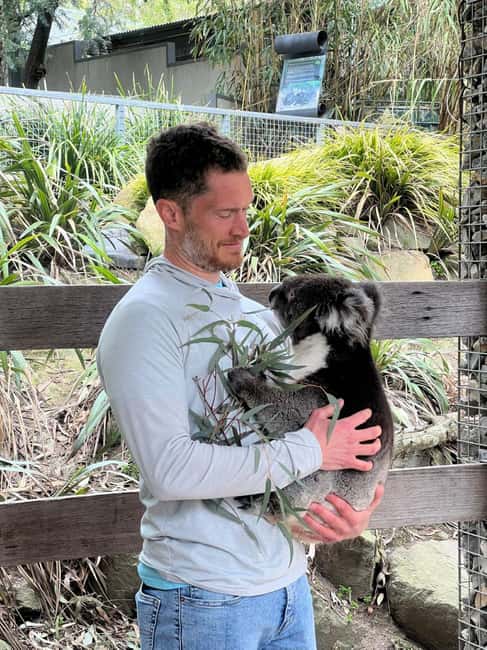 imagen n.º 52 de Desde Adelaida: Abraza a un Koala y Visita Histórica a Hahndorf actividad en Adelaida, subida por el proveedor