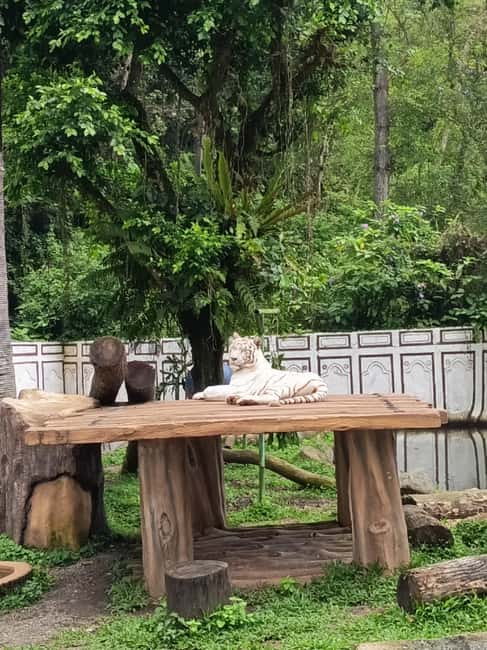 image n.18 of Jakarta : Taman Safari, Panda Palace, and Waterfall activity in Bogor, uploaded by supplier