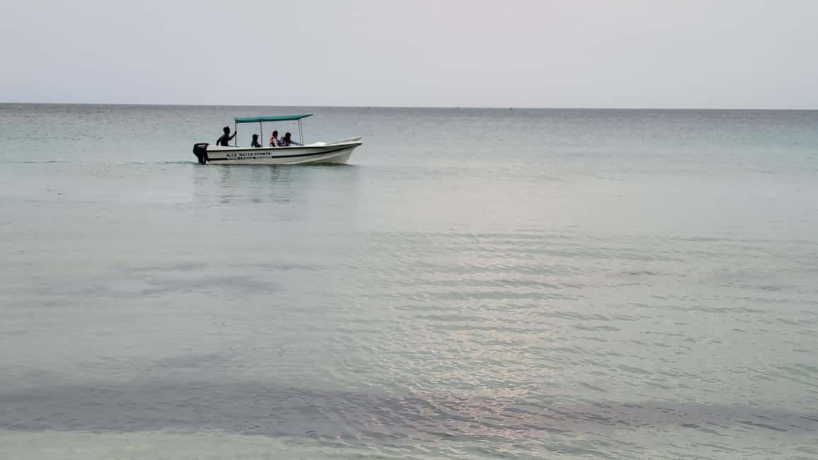 image n.2 of Trincomalee: Whales & Dolphin Watching Tours activity in Nilaveli, uploaded by supplier