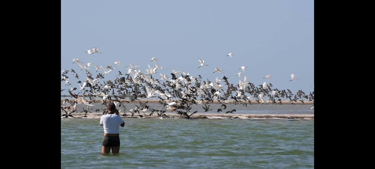 image n.9 of Mauritania: 10-Day From the Desert to the Atlantic Ocean activity in Nouakchott, uploaded by supplier