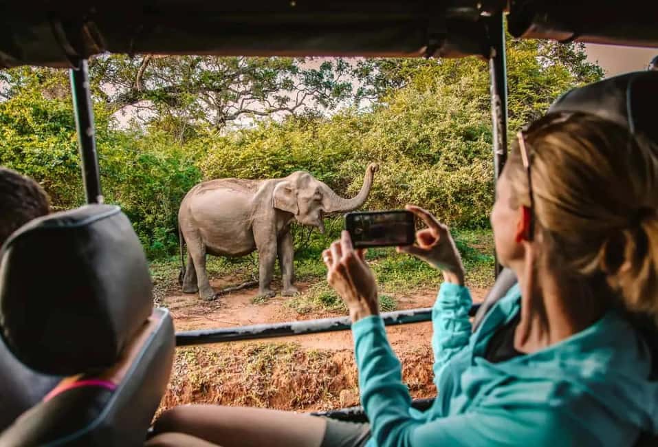 image n.2 of Yala Safari Morning/Evening, 7hours & 12 hours incl. Meals!! activity in Hambantota, uploaded by supplier