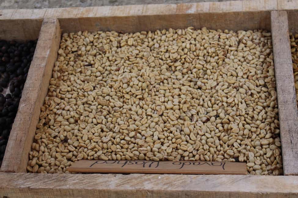 image n.12 of Medellin: Coffee Tour with Hotel Transfers and Meals activity in Medellin, uploaded by supplier