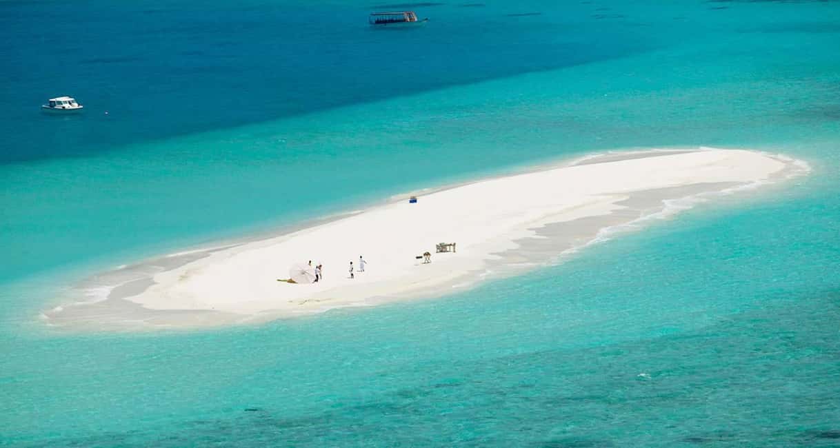 image n.5 of Zanzibar: Spice Tour, Prison Island and Stone Town Tour activity in Zanzibar City, uploaded by supplier