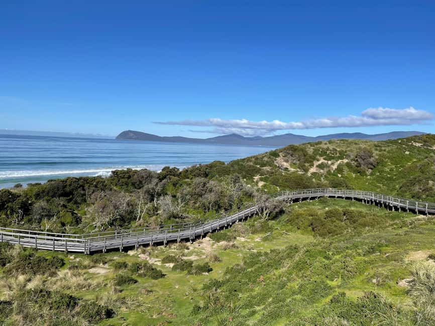 image n.26 of From Hobart: Bruny Island Adventure - Active Day Tour activity in Tasmania, uploaded by supplier
