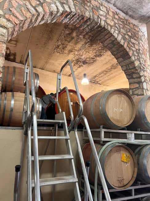 Immagine nº 13 di Il tour completo dell'Amarone: 2 cantine, pranzo e approfondimento sull'Amarone attività a Verona, caricata dal fornitore