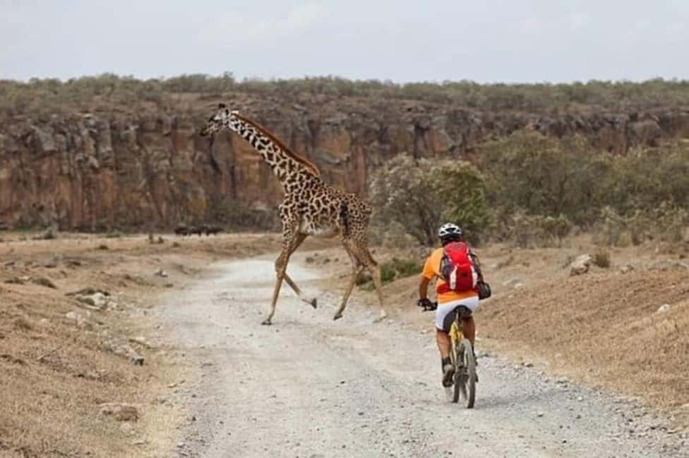 image n.27 of From Nairobi:Full Day Tour to Hell’s Gate National Park activity in Nakuru, uploaded by supplier