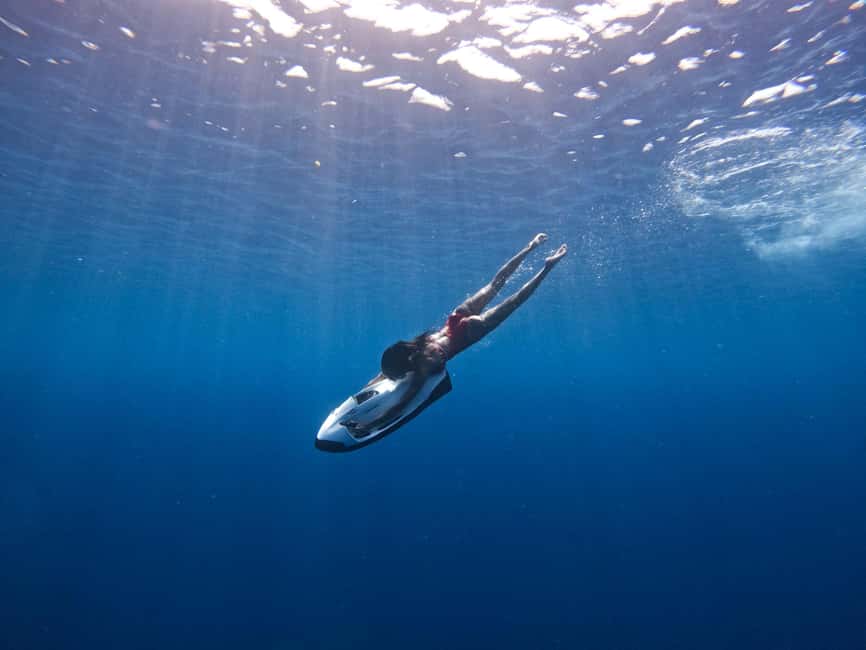 afbeelding n.23 van Curaçao: Playa Piskado Seabob Avontuur (Zeeschildpadden) activiteit in Curaçao, geüpload door aanbieder