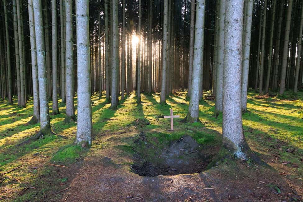 image n.6 of From Brussels: Battle of the Bulge 80th Birthday Day Trip activity in Bastogne, uploaded by supplier