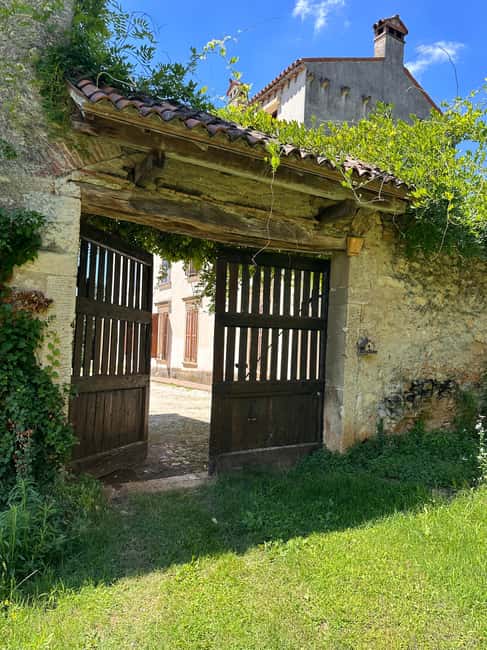 Immagine nº 21 di Il tour completo dell'Amarone: 2 cantine, pranzo e approfondimento sull'Amarone attività a Verona, caricata dal fornitore