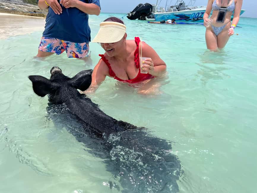 Image N°21 de Nassau : Cochons, plongée en apnée, tortues, déjeuner, club de plage privé activité à New Providence, publiée par le prestataire