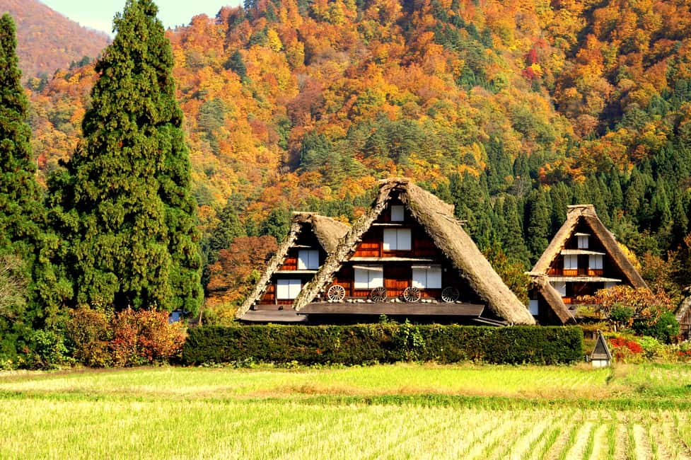 image n.3 of Nagoya: Hida Takayama & Shirakawa-go Tour w/Optional Lunch activity in Shirakawa, uploaded by supplier