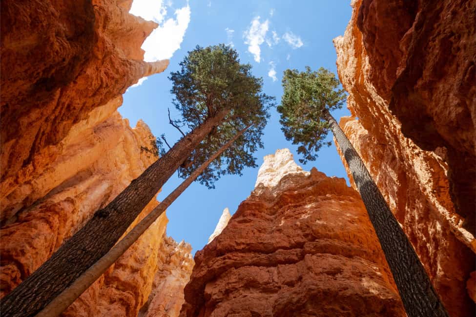 image n.29 of Las Vegas: Grand Canyon, Zion and Monument Valley 3-Day Trip activity in Arizona, uploaded by supplier