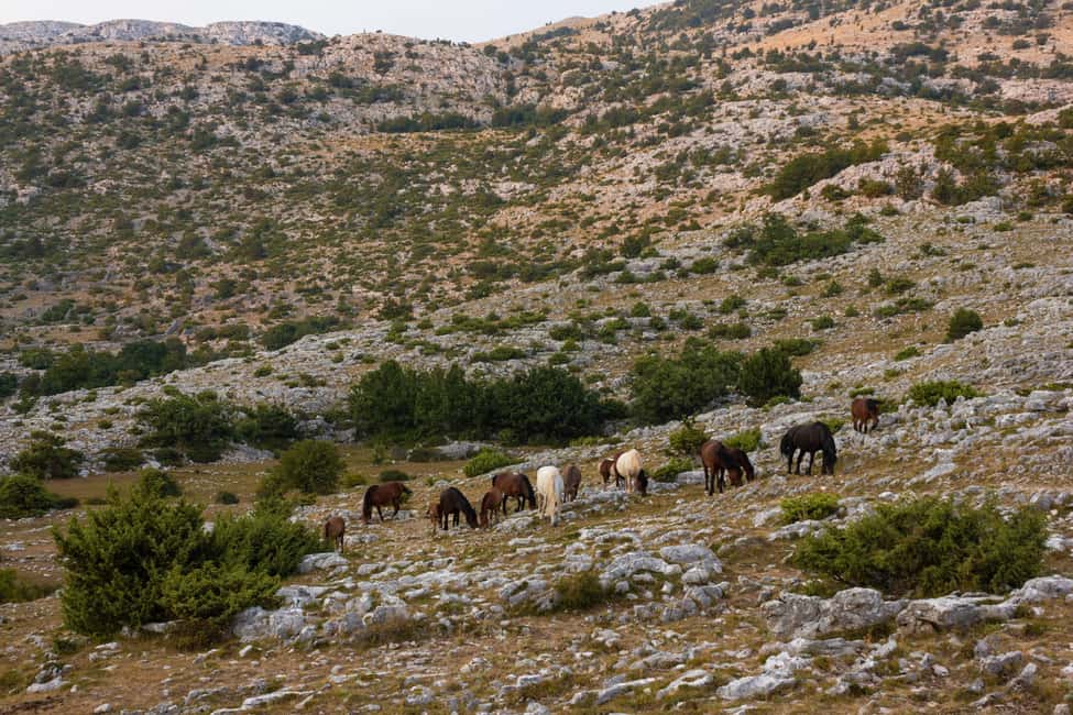 image n.9 of Makarska: Biokovo Skywalk 4X4 Tour: Ultimate Mountain Views activity in Dalmatia, uploaded by supplier