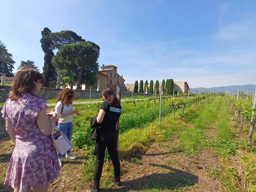 image n.1 of Lake Iseo & Franciacorta Winery. Scenic & Wine Tasting tour activity in Brescia, uploaded by supplier