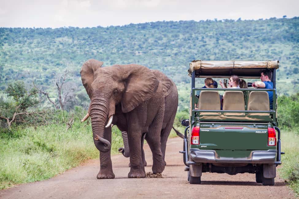 imagem n.1 de De Joanesburgo: Safari de vida selvagem em Pilanesberg atividade em Noroeste, África do Sul, carregada pelo fornecedor