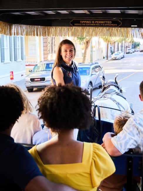 image n.5 of Charleston: Downtown Horse-Drawn Carriage Tour activity in Charleston, uploaded by supplier