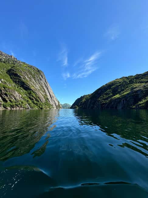 image n.12 of From Svolvær: RIB Boat Lofoten Trollfjord Sea Eagle Safari activity in Nordland County, uploaded by supplier