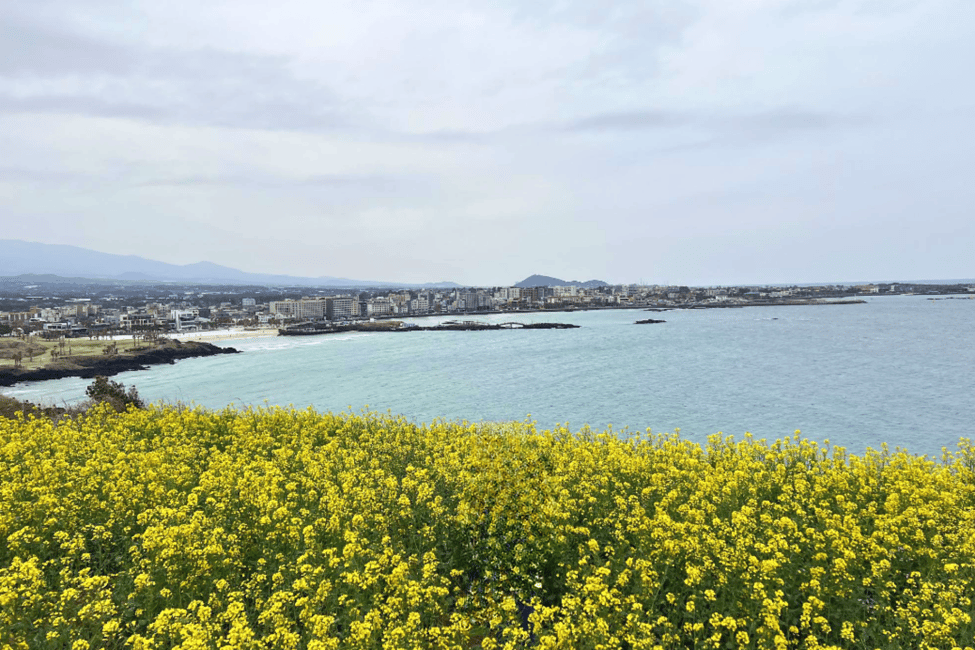 imagen n.º 17 de Jeju: Excursión de un día por los lugares de la UNESCO del este de Jeju actividad en Provincia de Jeju, subida por el proveedor