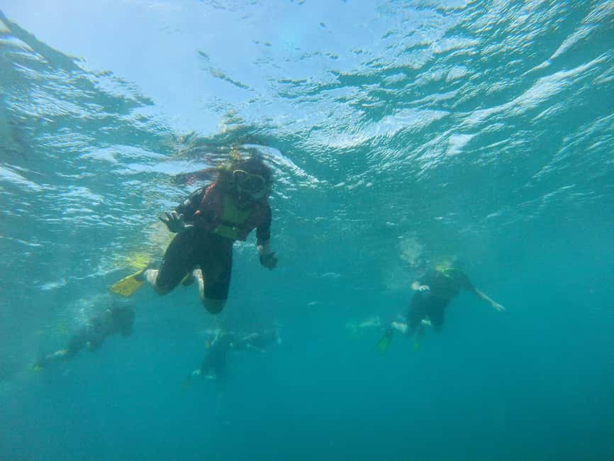 imagem n.14 de Passeio de snorkeling com guia local certificado atividade em Pedra de Lume, carregada pelo fornecedor