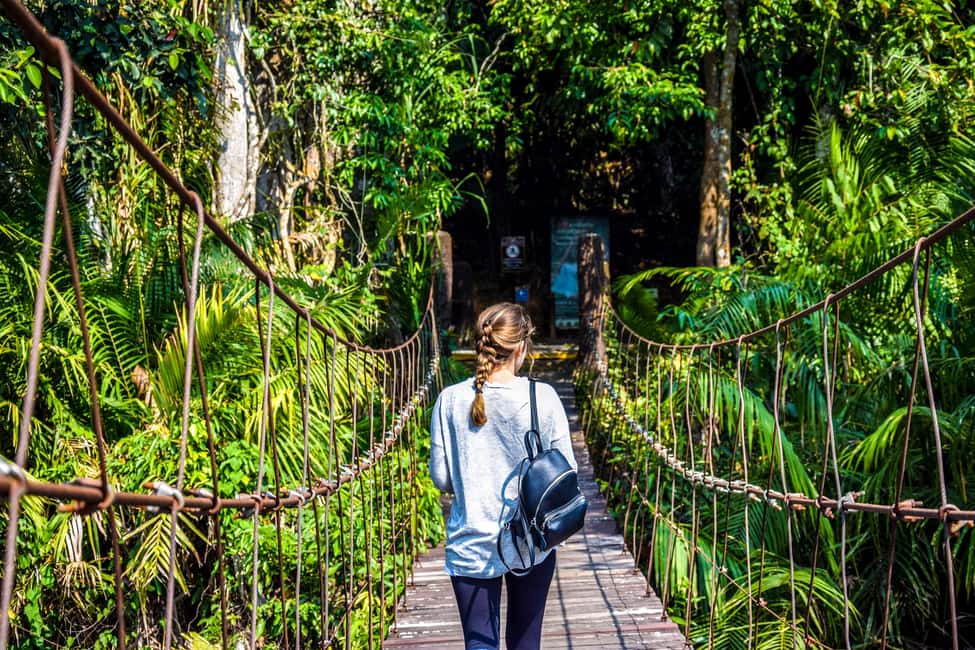 imagen n.º 3 de Desde Bangkok: Excursión de un día en grupo reducido al Parque Nacional de Khao Yai actividad en Provincia de Nakhon Nayok, subida por el proveedor