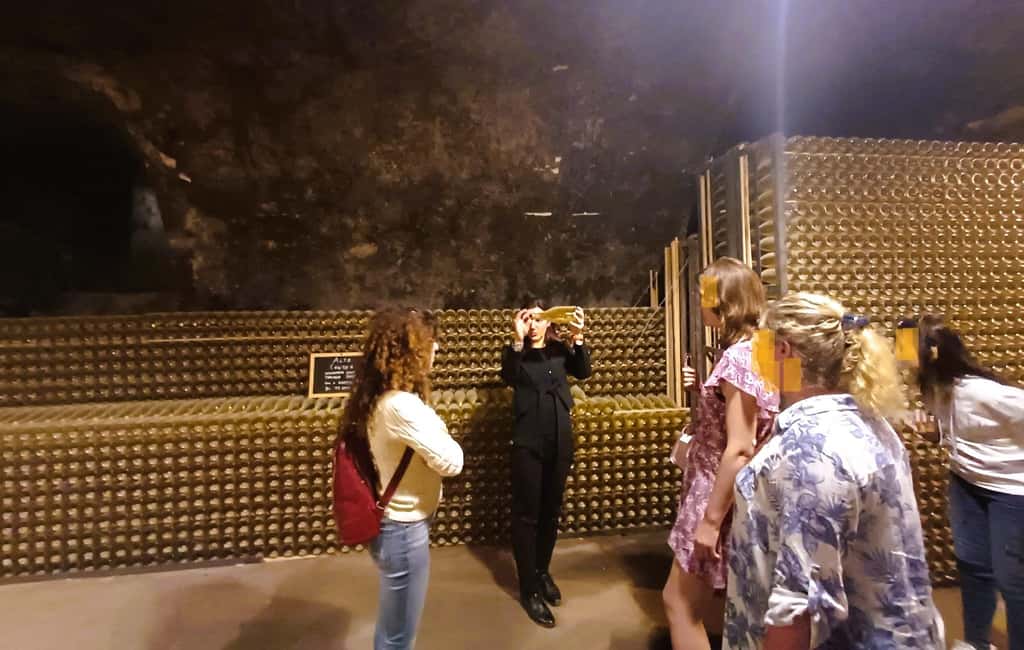 image n.14 of Lake Iseo & Franciacorta Winery. Scenic & Wine Tasting tour activity in Brescia, uploaded by supplier