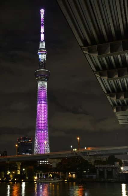 サプライヤーによってアップロードされた、東京の車とバンで行くカスタマイズ可能な東京プライベート ツアーの画像#2