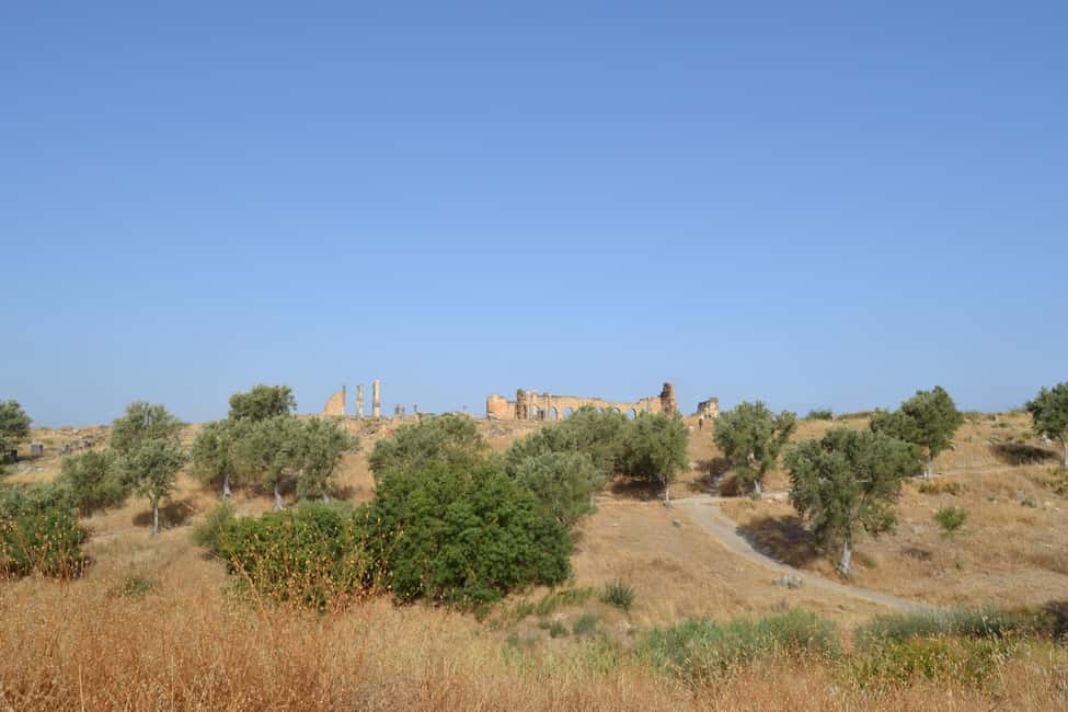 billede nr.27 af aktiviteten Dagstur fra Fes til Volubilis via Meknes og Moulay Idriss i Meknès, uploadet af udbyder
