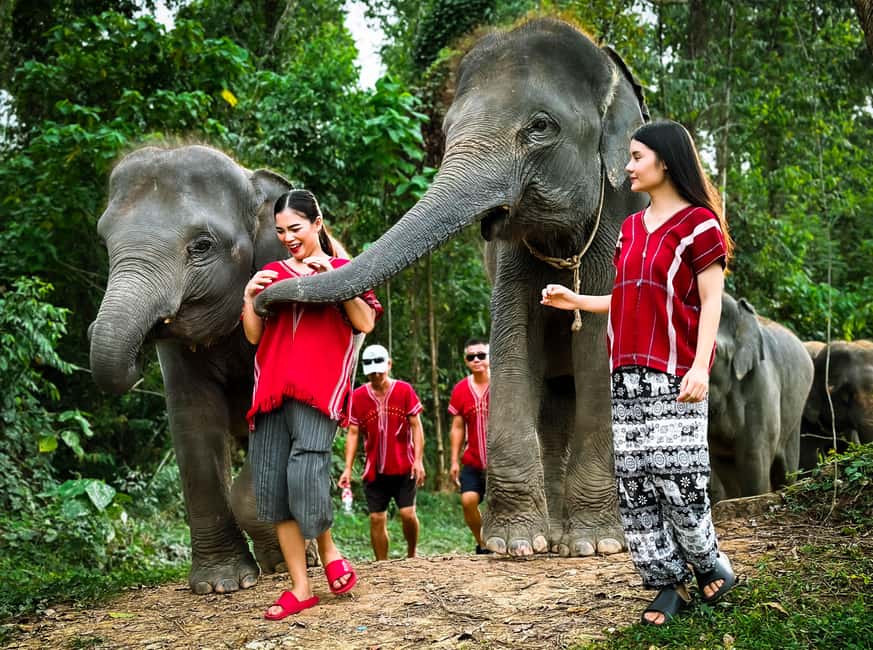 image n.8 of Phuket: Elephant Experience with Lunch or Dinner and Pickup activity in Phuket City, uploaded by supplier