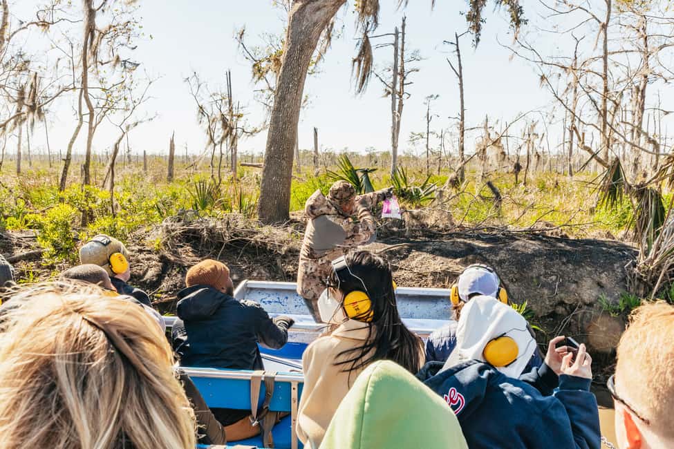 image n.18 of New Orleans: Oak Alley Plantation & Airboat Swamp Combo Tour activity in Vacherie, uploaded by supplier