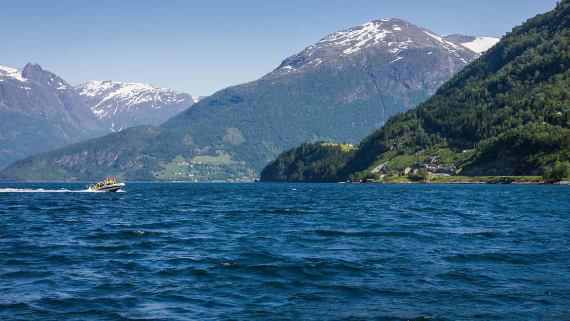 Immagine nº 3 di Olden: Tour in barca del Nordfjord con commento in diretta attività a Nordland Fylke, caricata dal fornitore