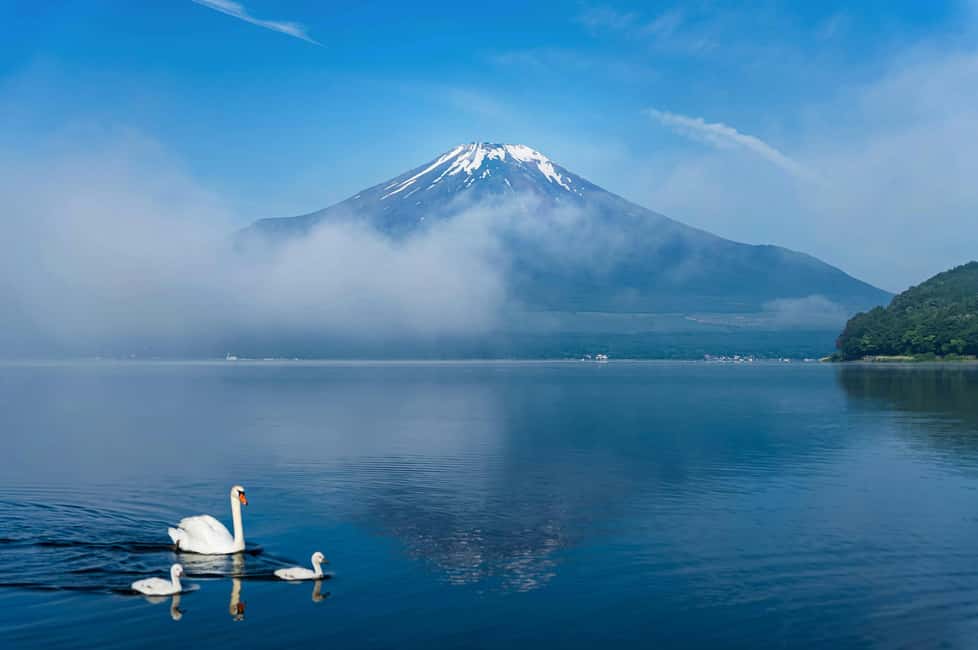 obrázek č.2 aktivity Tokio na horu Fuji 5 jezer Soukromá prohlídka autem se zelenou poznávací značkou v destinaci Fujinomiya, nahraný poskytovatelem aktivity