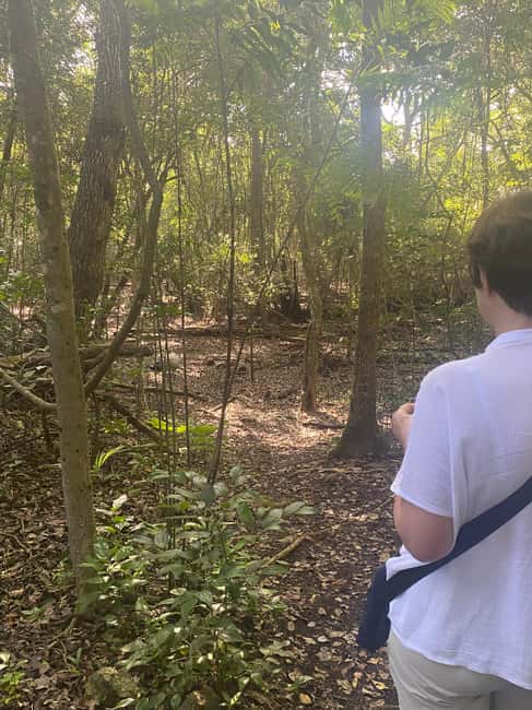 Bild Nr. 18 von Bacalar: Tagestour zu den Calakmul-Ruinen mit einem Stopp im Dschungel Aktivität in Bacalar, hochgeladen vom Anbieter