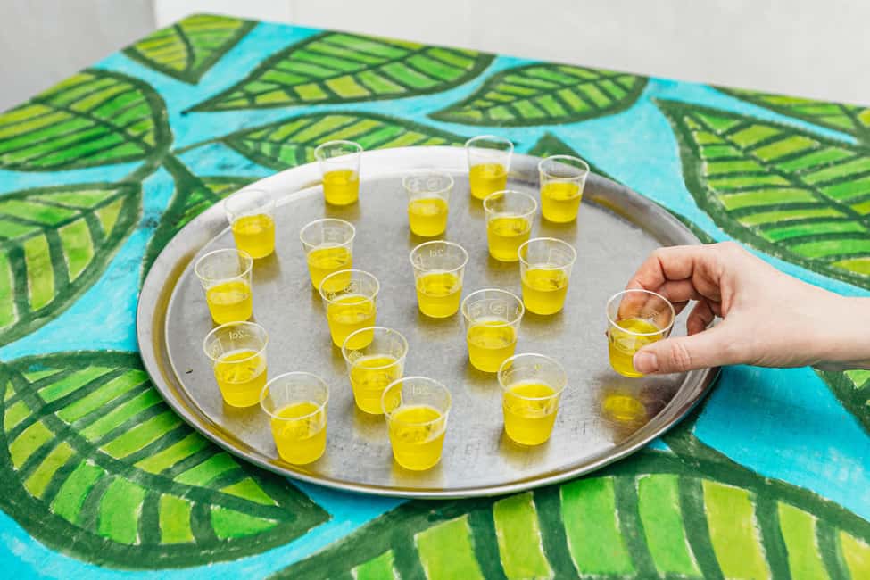 image n.14 of La Orotava: Eco Banana Plantation Tour with Banana Liquor activity in El Rincon, Tenerife, uploaded by supplier