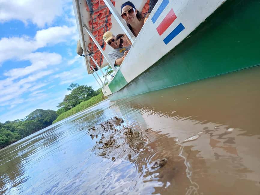 image n.6 of Tarcoles River: Jungle Crocodile Safari & Bird Watching Tour activity in San José, Costa Rica, uploaded by supplier