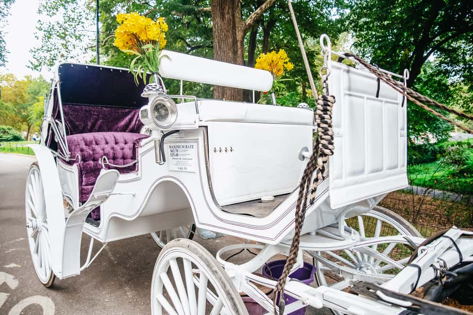 Bild Nr. 15 von NYC: Geführte Kutschfahrt im Central Park Aktivität in New York, hochgeladen vom Anbieter