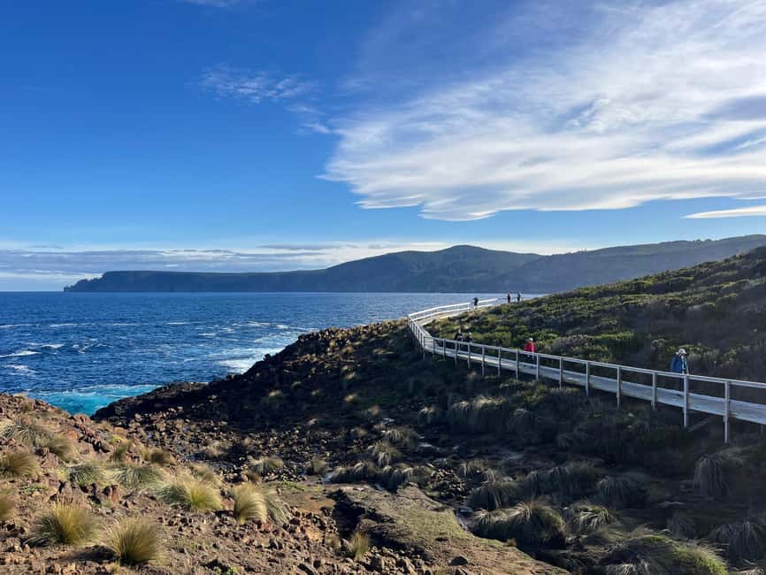 image n.32 of Tasmania: 7-Day West to East Tour activity in Tasmania, uploaded by supplier