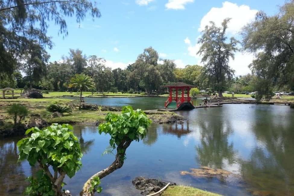 Immagine nº 9 di Hilo : Tour d'avventura del Parco Nazionale dei Vulcani dell'Isola Grande attività a Hawaii, caricata dal fornitore
