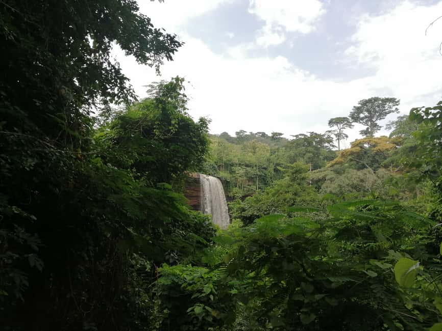 image n.2 of Accra: Aburi Botanical Gardens and Waterfalls Private Tour activity in Aburi, uploaded by supplier