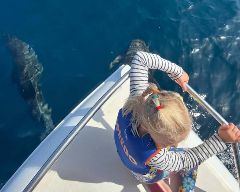 Immagine nº 2 di Muscat: gita in barca per l'osservazione dei delfini con spuntini attività a Mascate, caricata dal fornitore