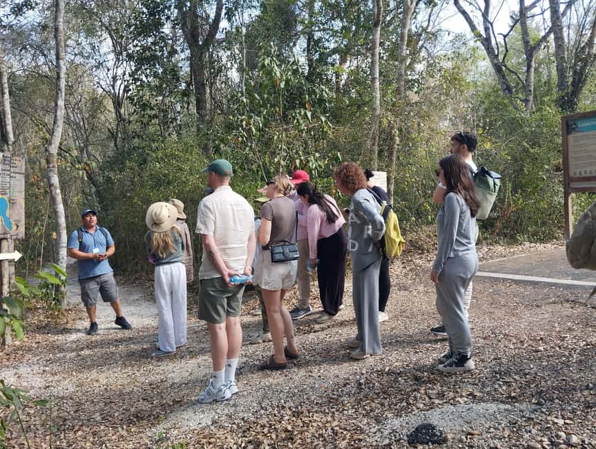 Bild Nr. 7 von Bacalar: Tagestour zu den Calakmul-Ruinen mit einem Stopp im Dschungel Aktivität in Bacalar, hochgeladen vom Anbieter