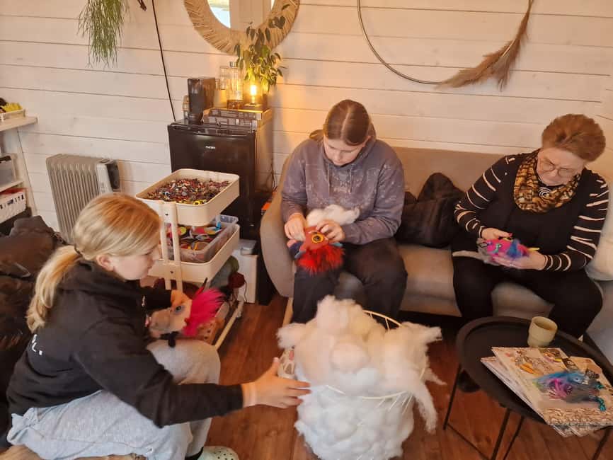imagen n.º 9 de Reikiavik: Haz un monstruo de lana islandés actividad en Garðabær, subida por el proveedor