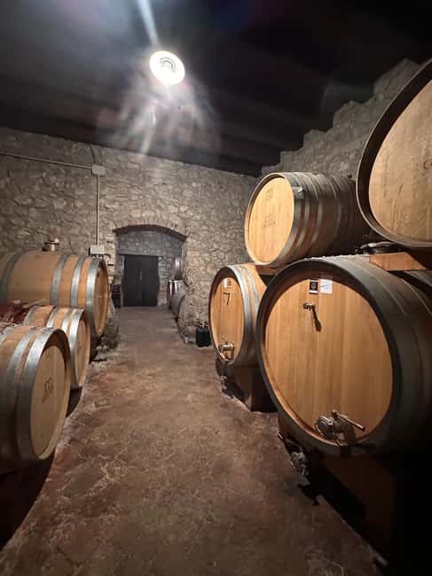 Immagine nº 68 di Il tour completo dell'Amarone: 2 cantine, pranzo e approfondimento sull'Amarone attività a Verona, caricata dal fornitore