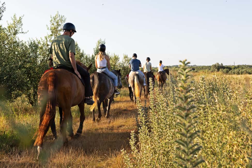 Bild Nr. 9 von Fazana: 1-stündiger Ausritt in die Natur bei Sonnenuntergang mit Guide Aktivität in Fažana, hochgeladen vom Anbieter