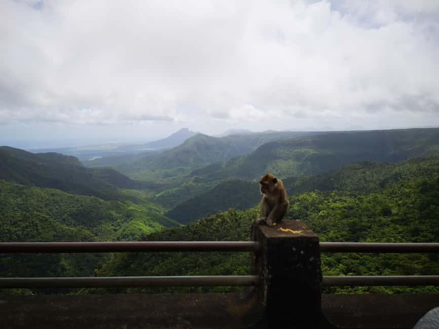 Immagine nº 5 di Mauritius: Tour privato a sud-ovest con prelievo attività a Mauritius, caricata dal fornitore