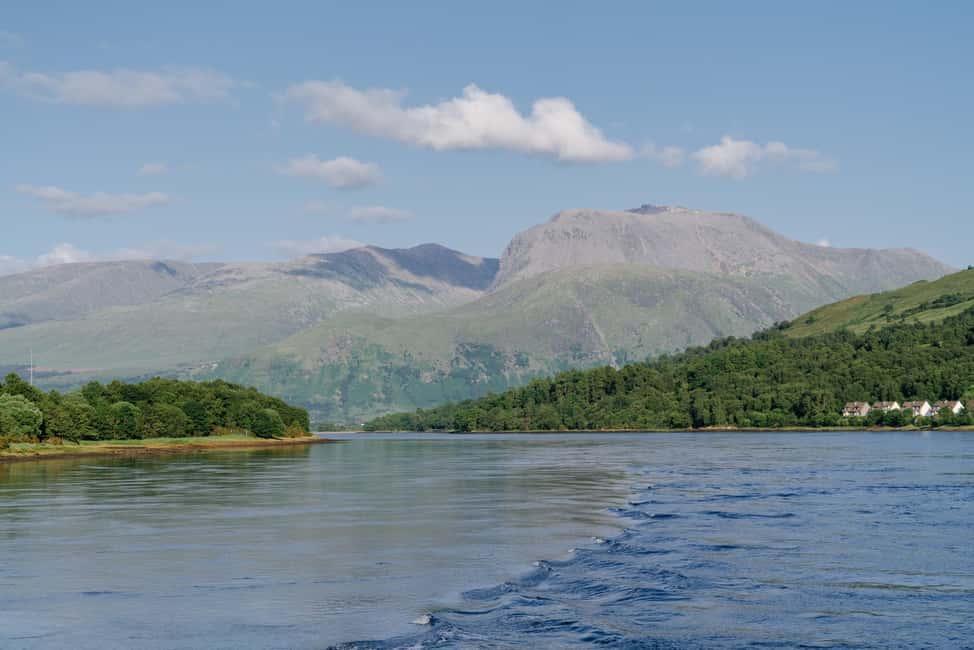 billede nr.14 af aktiviteten Fort William: Sejlads på Loch Linnhe for at se sæler i Det skotske højland, uploadet af udbyder